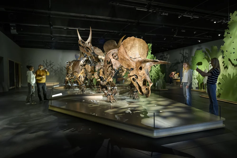 I Proiettori PROLIGHTS Illuminano i Dinosauri al Naturalis Biodiversity Center