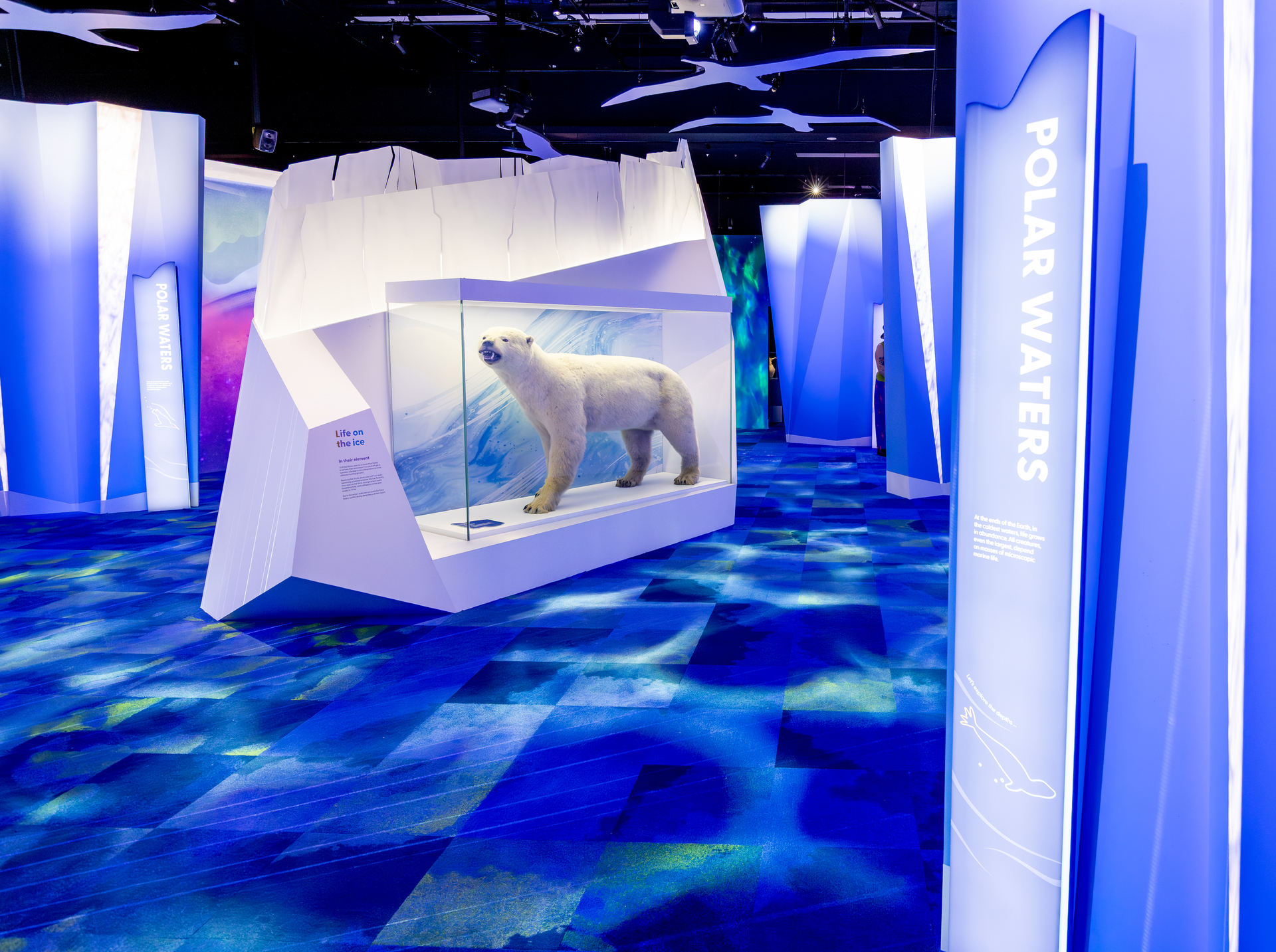 PROLIGHTS illumina il viaggio multisensoriale di “Our Wondrous Planet” al Melbourne Museum