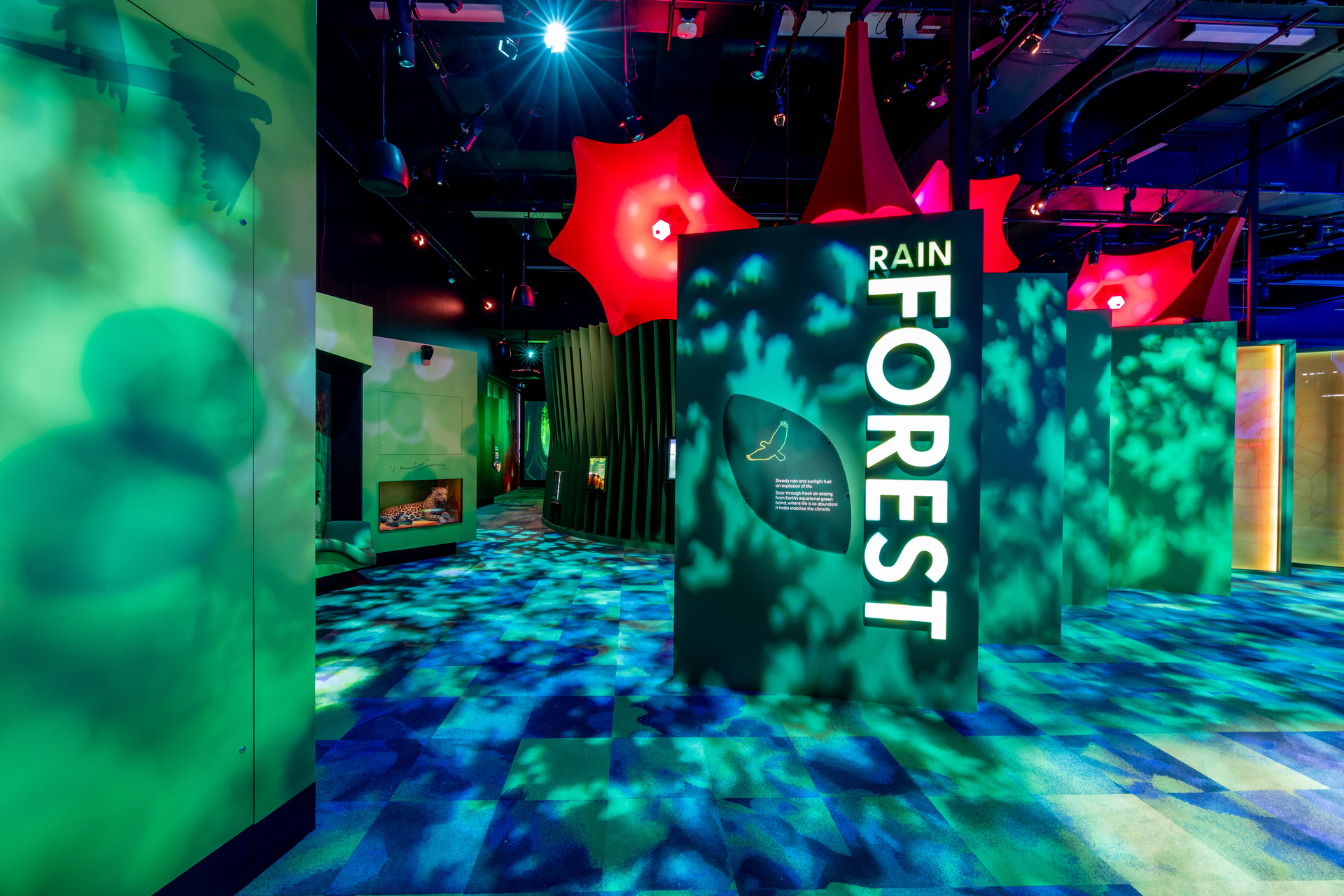 PROLIGHTS illumina il viaggio multisensoriale di “Our Wondrous Planet” al Melbourne Museum