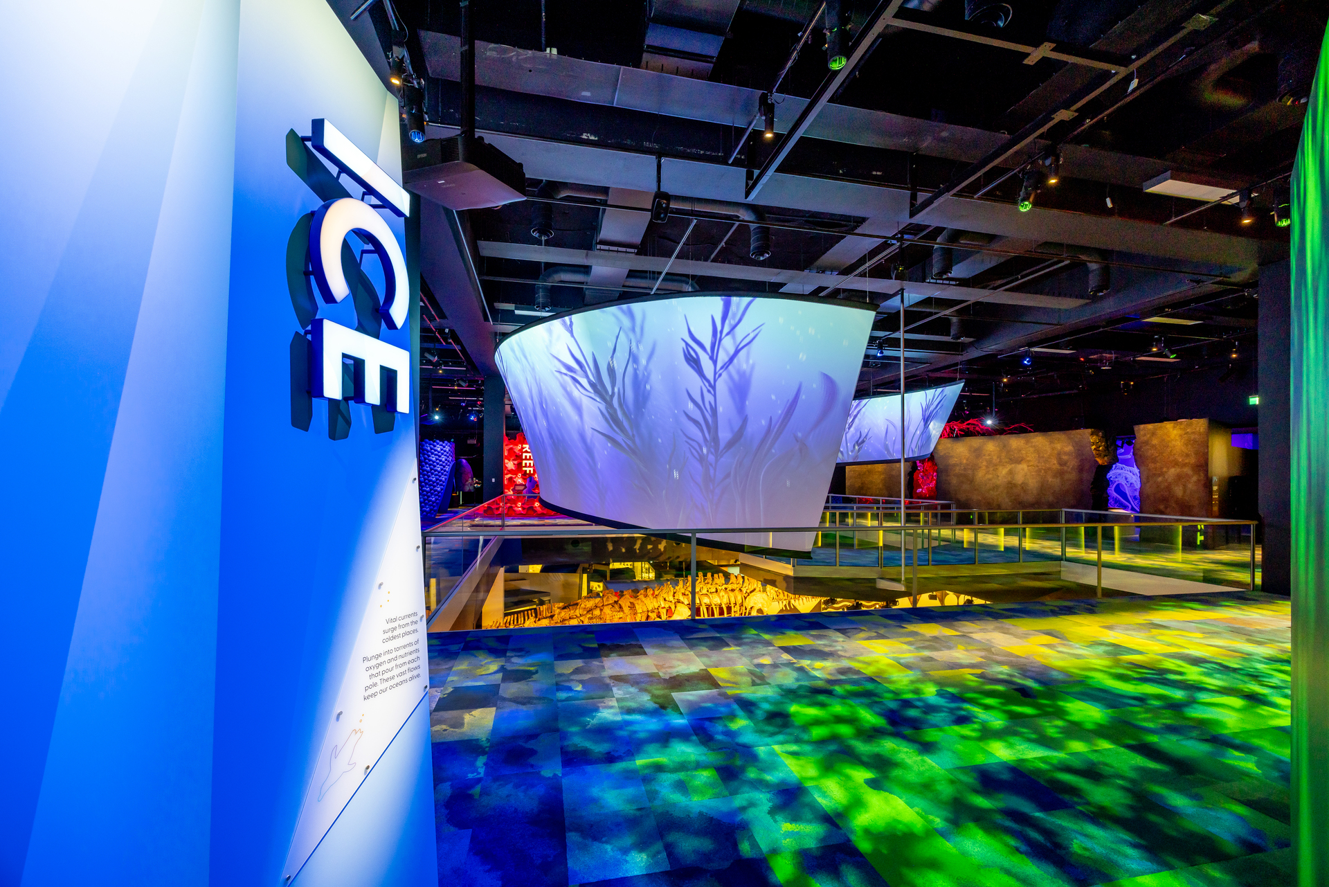 PROLIGHTS illumina il viaggio multisensoriale di “Our Wondrous Planet” al Melbourne Museum