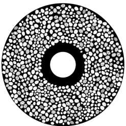 AWVEST001