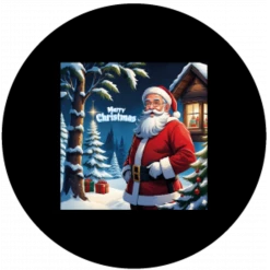 Santa Claus 4