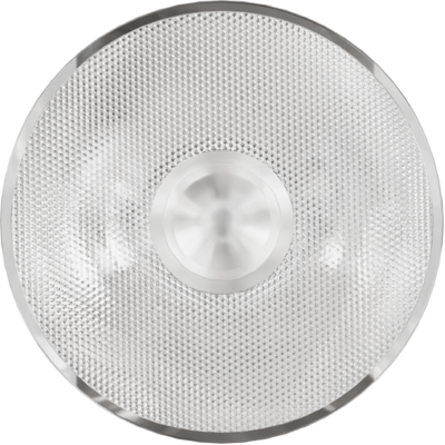 SBPNEOL20