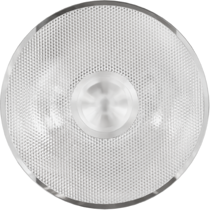 SBPNEOL20